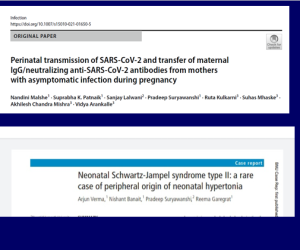 Screenshot-2025-04-04-123021