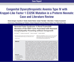 Screenshot-2025-04-04-123349