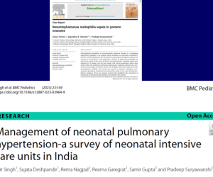 Screenshot-2025-04-04-123432