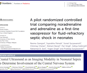 Screenshot-2025-04-04-123722